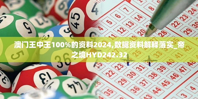 澳门王中王100%的资料2024,数据资料解释落实_帝之境HYD242.32