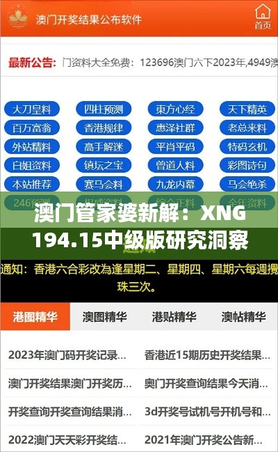 澳门管家婆新解：XNG194.15中级版研究洞察