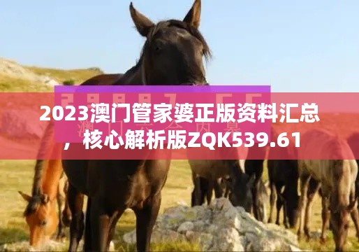 2023澳门管家婆正版资料汇总，核心解析版ZQK539.61