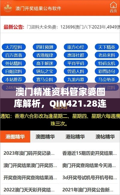 澳门精准资料管家婆图库解析，QIN421.28连续版揭秘