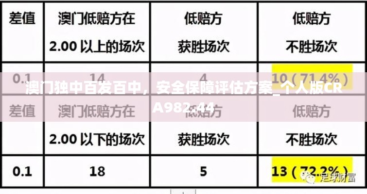 澳门独中百发百中，安全保障评估方案_个人版CRA982.44