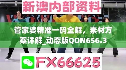 管家婆精准一码全解，素材方案详解_动态版QON656.3