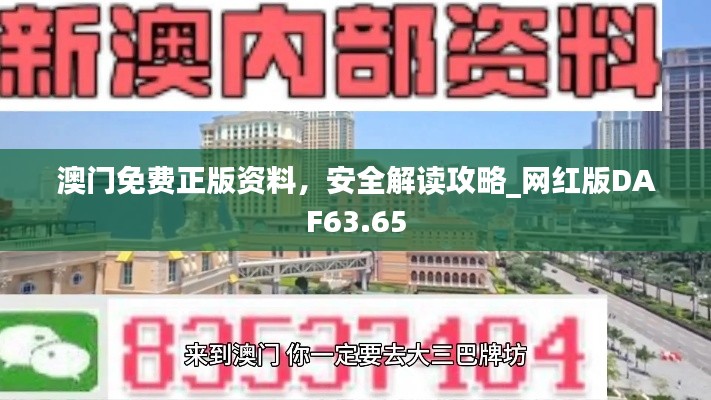 澳门免费正版资料，安全解读攻略_网红版DAF63.65