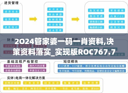 2O24管家婆一码一肖资料,决策资料落实_实现版ROC767.7