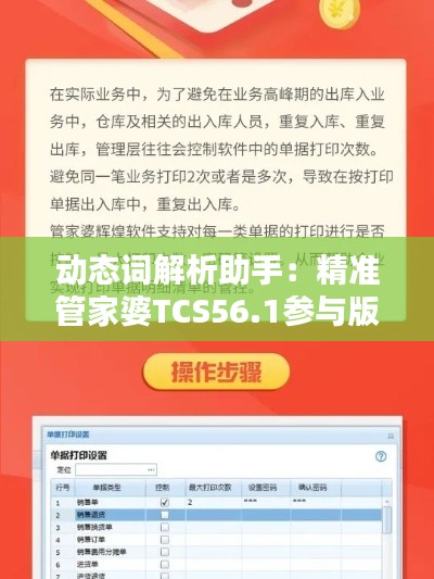 动态词解析助手：精准管家婆TCS56.1参与版体验