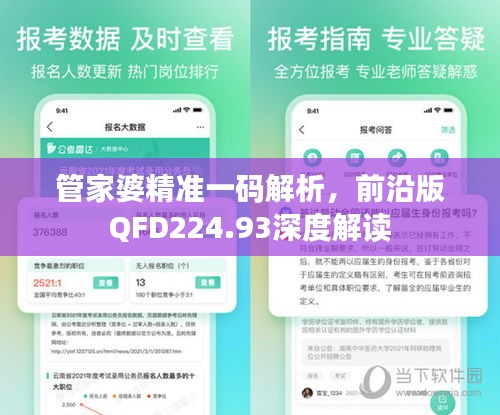 管家婆精准一码解析，前沿版QFD224.93深度解读