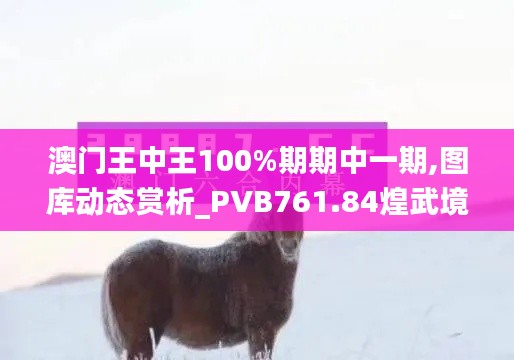 澳门王中王100%期期中一期,图库动态赏析_PVB761.84煌武境