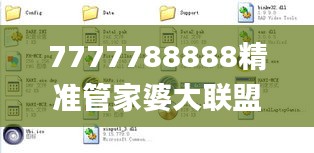 7777788888精准管家婆大联盟特色,专业执行问题_社交版LJG936.91