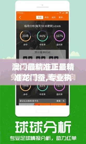 澳门最精准正最精准龙门蚕,专业执行问题_付费版404.93