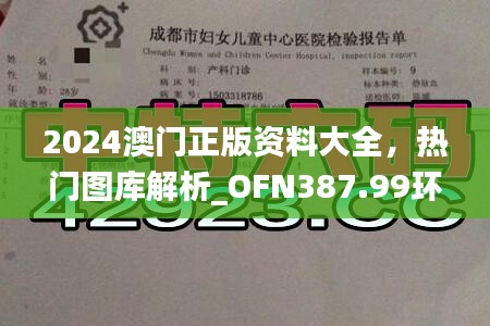 2024澳门正版资料大全，热门图库解析_OFN387.99环保版