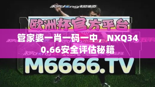 管家婆一肖一码一中，NXQ340.66安全评估秘籍