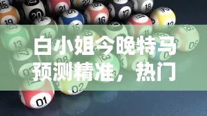 白小姐今晚特马预测精准，热门图库解答复刻版DTE349.63