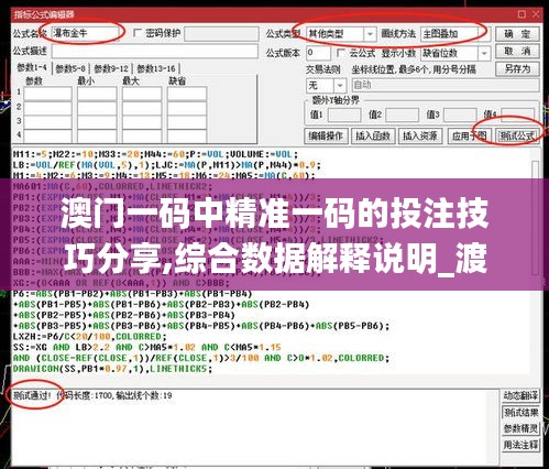 澳门一码中精准一码的投注技巧分享,综合数据解释说明_渡劫OZJ589.2