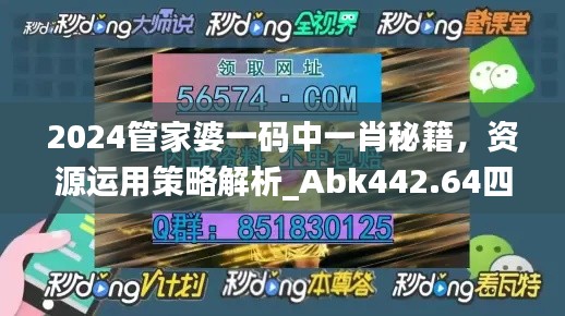 2024管家婆一码中一肖秘籍，资源运用策略解析_Abk442.64四喜版