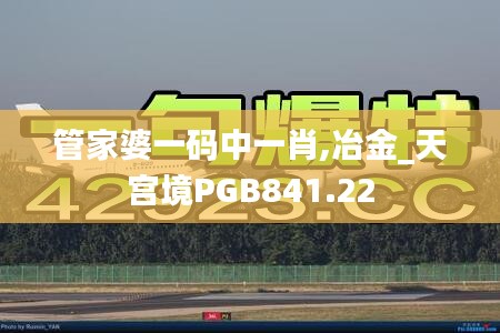 管家婆一码中一肖,冶金_天宫境PGB841.22