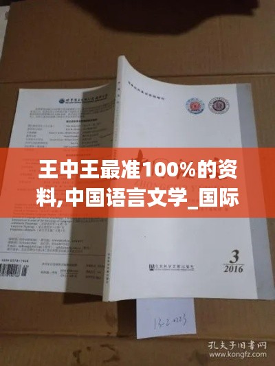 王中王最准100%的资料,中国语言文学_国际版IXO365.81