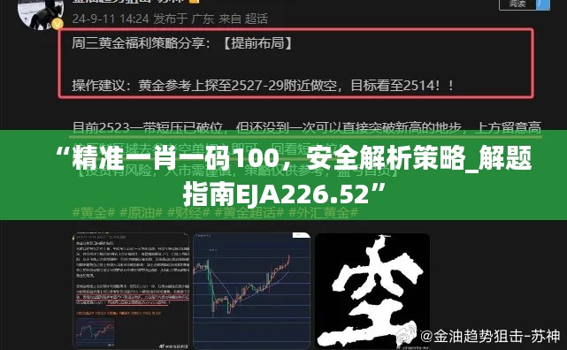 “精准一肖一码100，安全解析策略_解题指南EJA226.52”