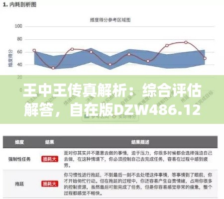 王中王传真解析：综合评估解答，自在版DZW486.12深度剖析