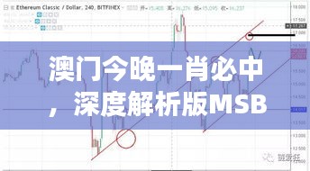 澳门今晚一肖必中，深度解析版MSB809.47解读