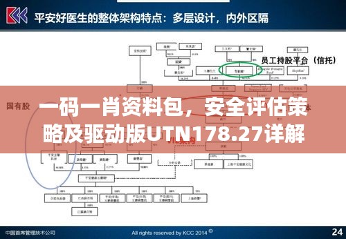 一码一肖资料包，安全评估策略及驱动版UTN178.27详解