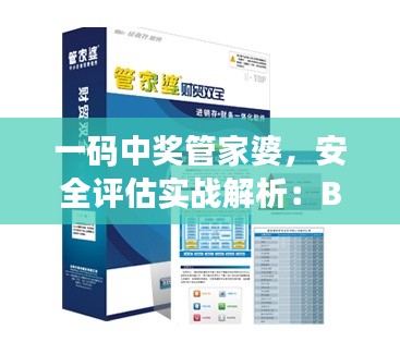 一码中奖管家婆，安全评估实战解析：BYZ459.37真体验