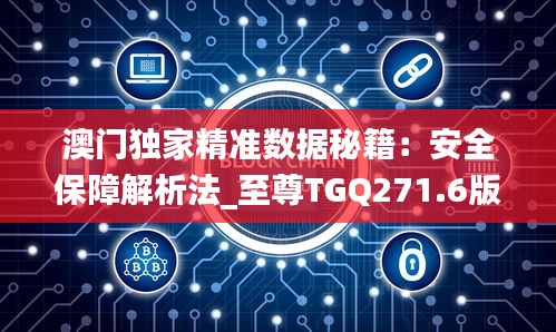 澳门独家精准数据秘籍：安全保障解析法_至尊TGQ271.6版