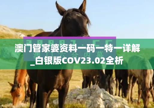 澳门管家婆资料一码一特一详解_白银版COV23.02全析