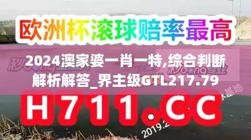 2024澳家婆一肖一特,综合判断解析解答_界主级GTL217.79