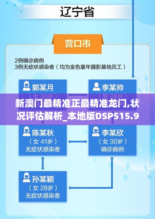 新澳门最精准正最精准龙门,状况评估解析_本地版DSP515.95