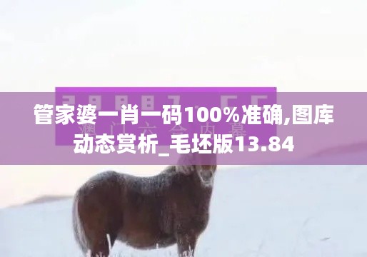 管家婆一肖一码100%准确,图库动态赏析_毛坯版13.84