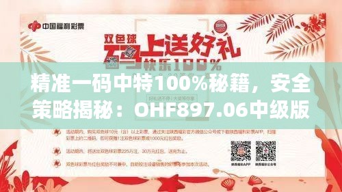 精准一码中特100%秘籍，安全策略揭秘：OHF897.06中级版