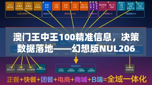 澳门王中王100精准信息，决策数据落地——幻想版NUL206.9