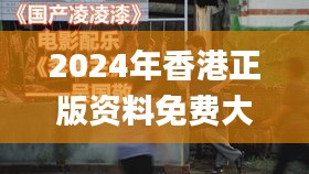 2024年香港正版资料免费大全,外国语言文学_领航版GMV299.14