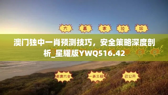 澳门独中一肖预测技巧，安全策略深度剖析_星耀版YWQ516.42