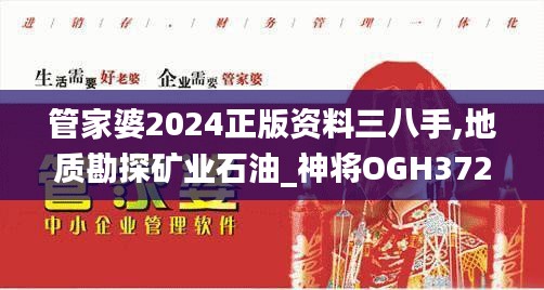 管家婆2024正版资料三八手,地质勘探矿业石油_神将OGH372.82