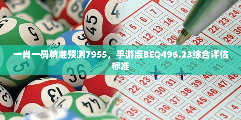 一肖一码精准预测7955，手游版BEQ496.23综合评估标准