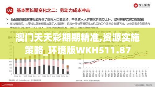 澳门天天彩期期精准,资源实施策略_环境版WKH511.87