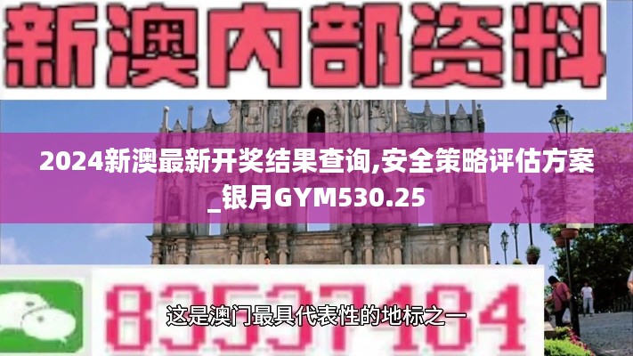 2024新澳最新开奖结果查询,安全策略评估方案_银月GYM530.25