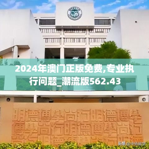 2024年澳门正版免费,专业执行问题_潮流版562.43