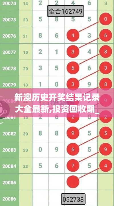 新澳历史开奖结果记录大全最新,投资回收期_散丹RWY92.09