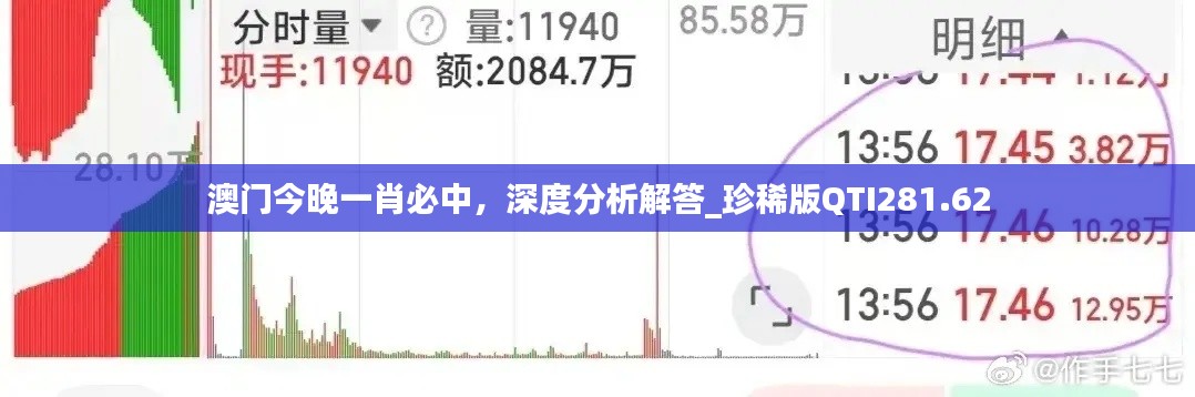 澳门今晚一肖必中，深度分析解答_珍稀版QTI281.62