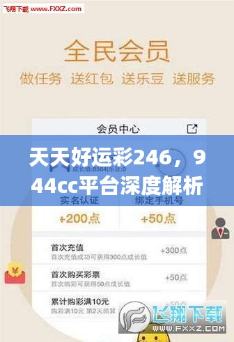 天天好运彩246，944cc平台深度解析_热门版UKI281.32