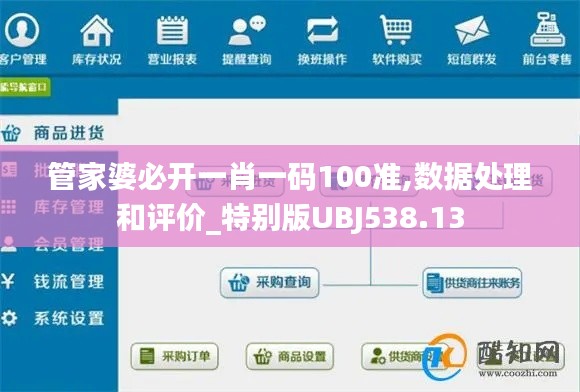 管家婆必开一肖一码100准,数据处理和评价_特别版UBJ538.13