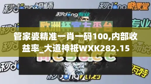 管家婆精准一肖一码100,内部收益率_大道神祗WXK282.15