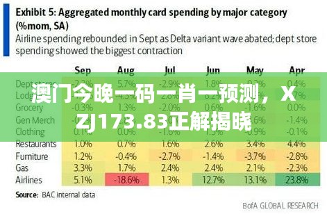 澳门今晚一码一肖一预测，XZJ173.83正解揭晓