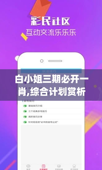 白小姐三期必开一肖,综合计划赏析_虚脉境AKF601.88