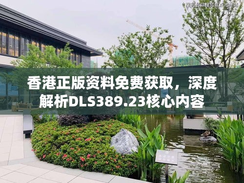 香港正版资料免费获取，深度解析DLS389.23核心内容