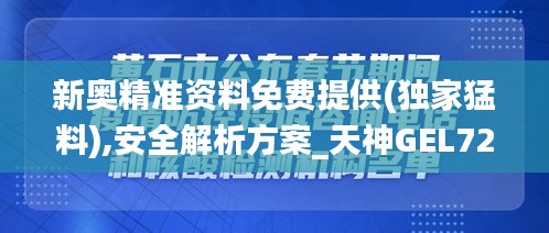 新奥精准资料免费提供(独家猛料),安全解析方案_天神GEL723.02