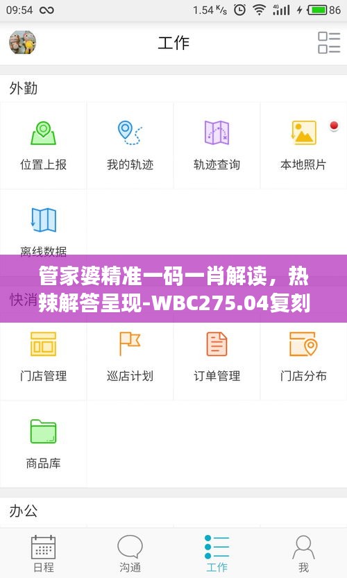 管家婆精准一码一肖解读，热辣解答呈现-WBC275.04复刻版