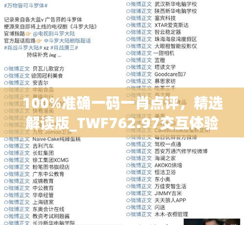 100%准确一码一肖点评，精选解读版_TWF762.97交互体验